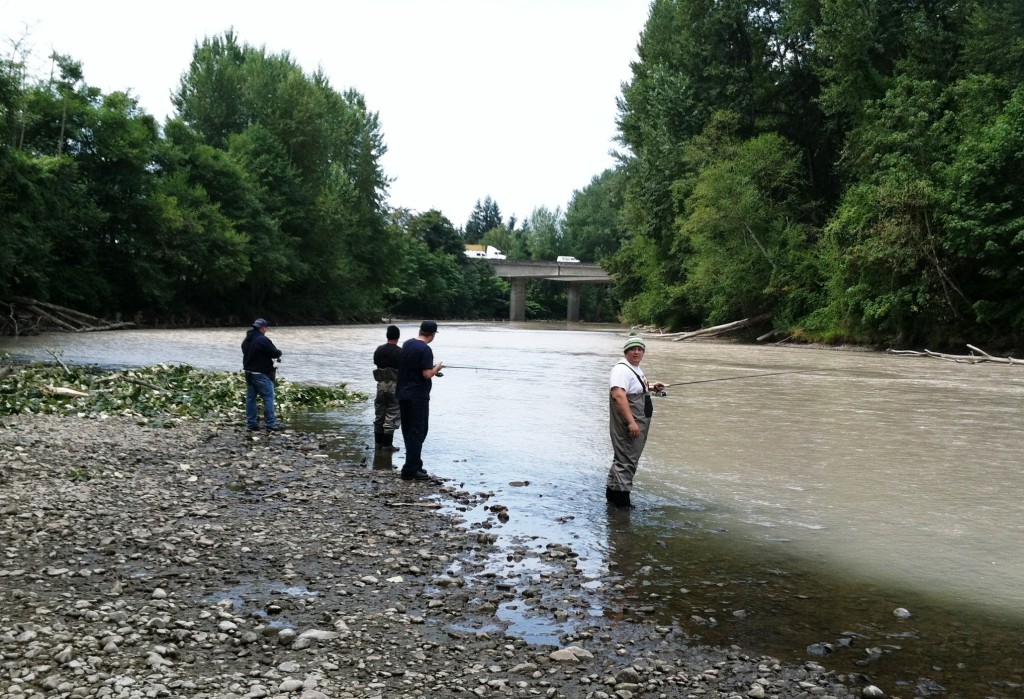 2015 Puyallup River salmon season opener offering up some decent numbers.