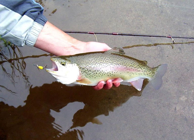 Washington�s trout season opens in several areas starting