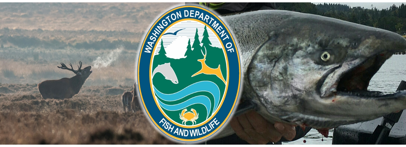 WDFW Commission will hear comments on hunting seasons, Columbia River