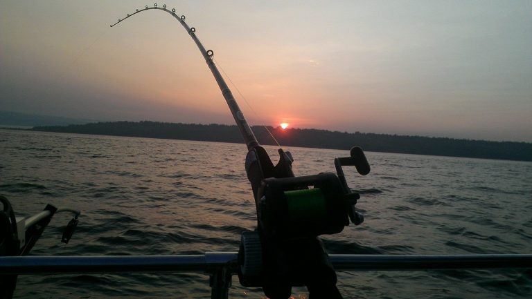 Committee members sought for Puget Sound recreational fisheries enhancement group - Northwest