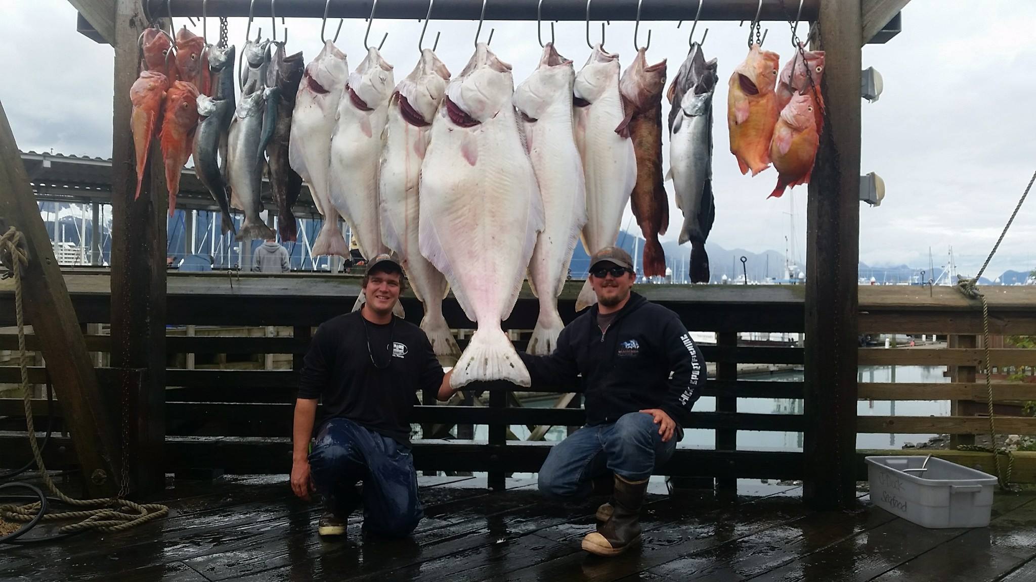 Washington Halibut season set to open May 4th with higher catch quotas