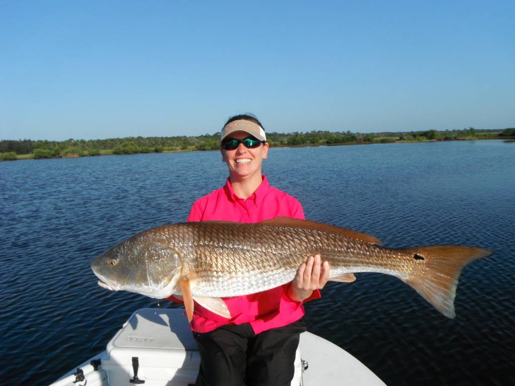 Top 5 Fish to Catch when in Tampa Bay Northwest Fishing News