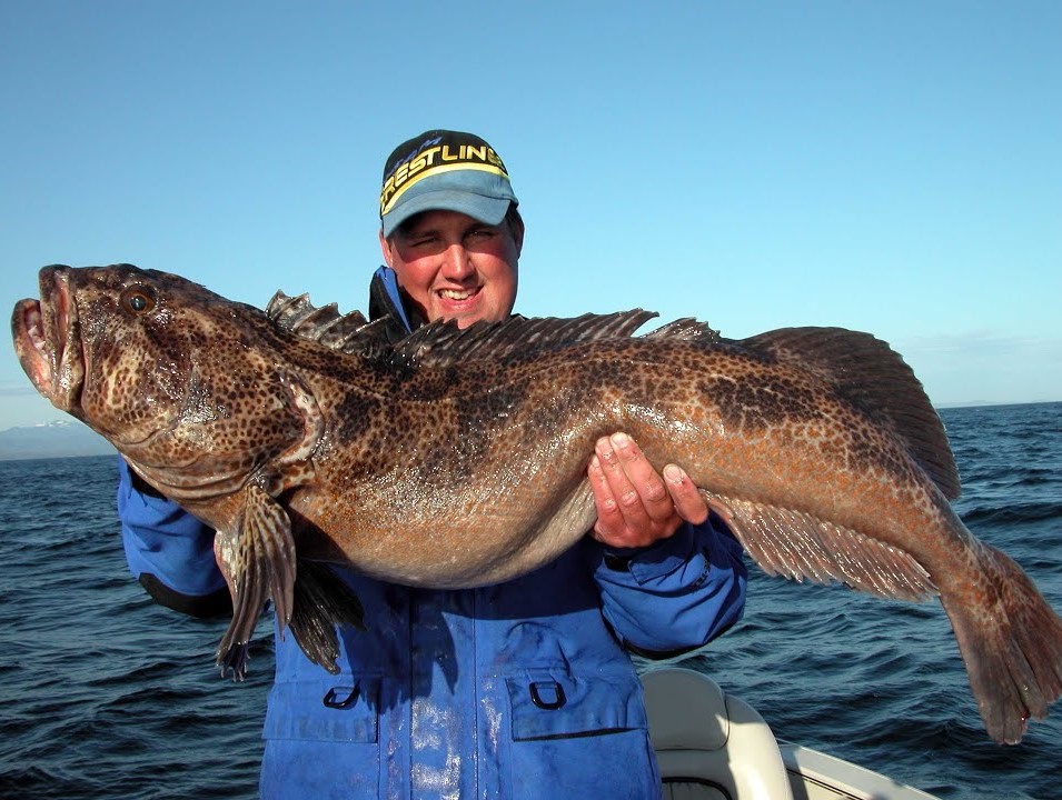 Public meetings in Oregon on future recreational halibut and bottomfish seasons in early August