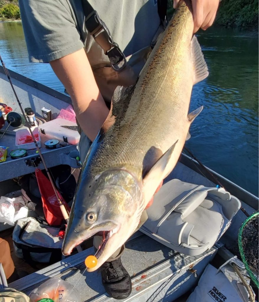 Bead Fishing For Steelhead 2024