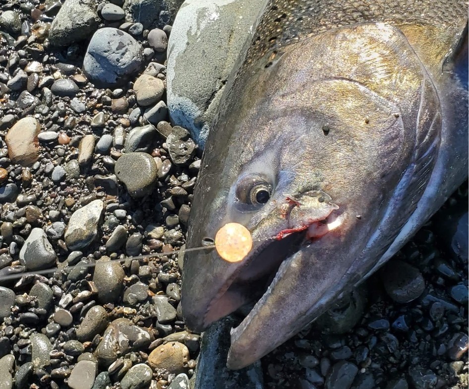 Soft Fishing Beads for Northwest salmon and steelhead