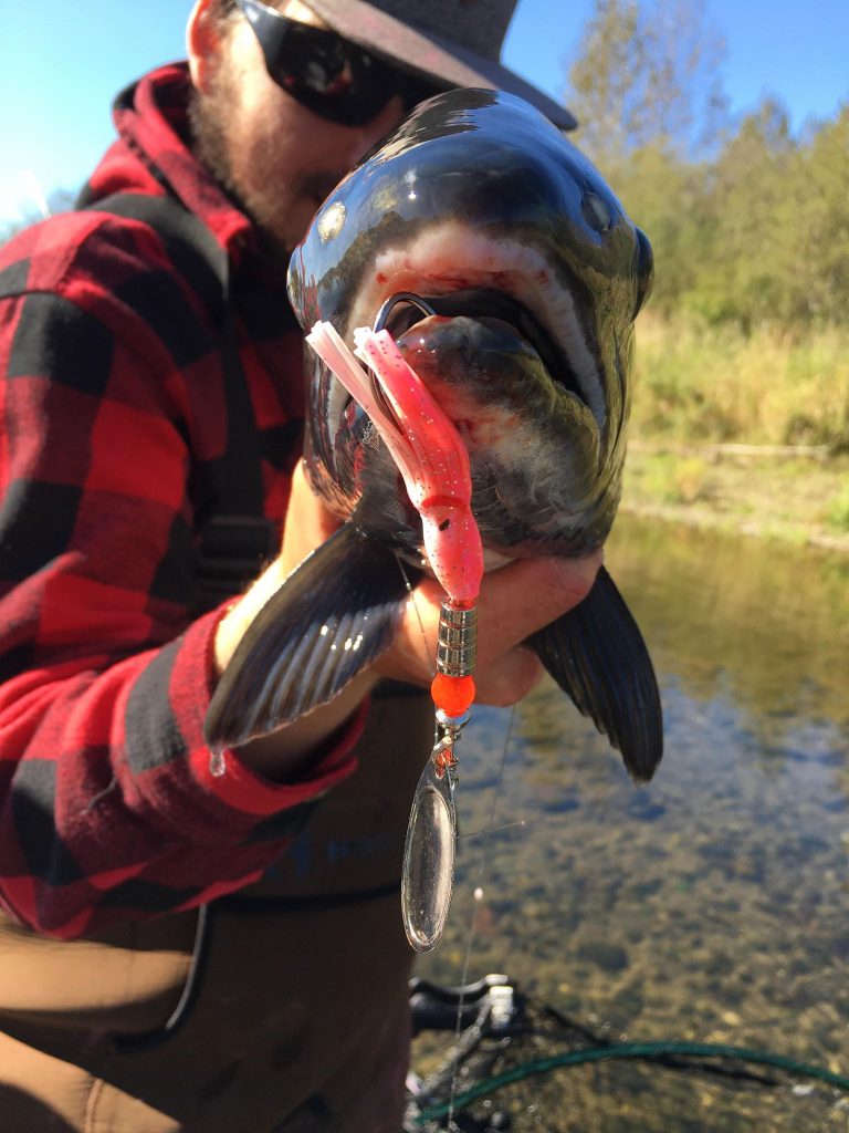 effective steelhead spinners hoochie bomb casting spinners for salmon trout and steelhead