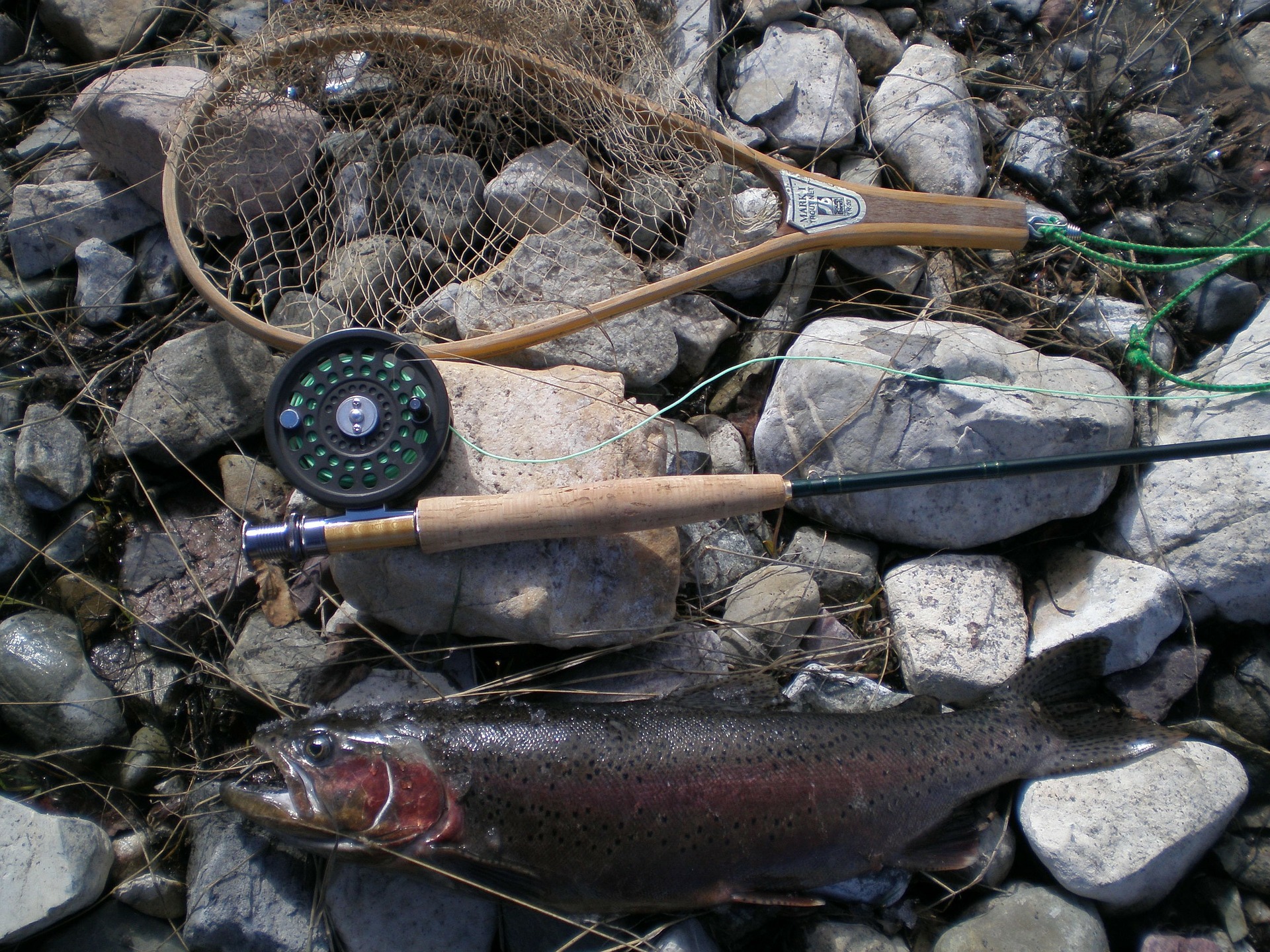 Hatchery winter steelhead fishing in the Umpqua Basin might net