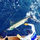 Costa Rica Fishing Experts, the Premier Fishing Company