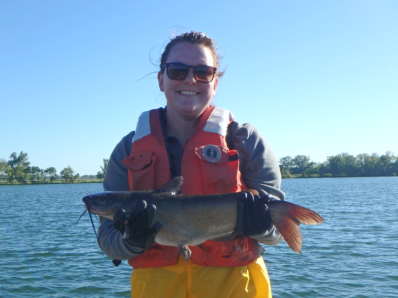 Best Places to Catch Catfish